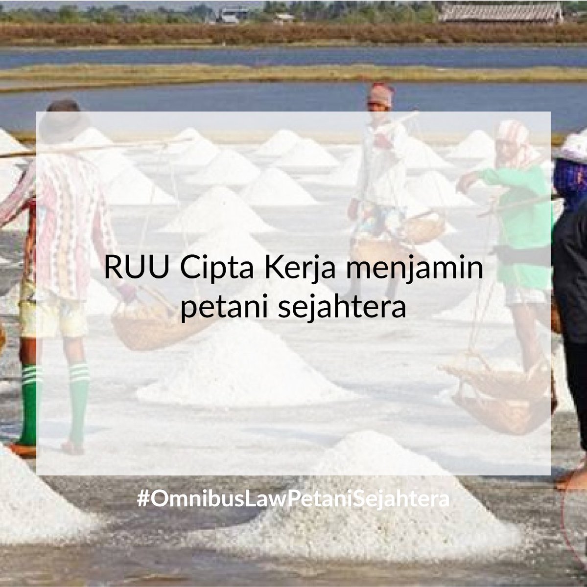 AnggaBayuSapu18's tweet photo. Omnibus Law menjamin kepentingan petani sebagai sumber pangan rakyat #OmnibusLawPetaniSejahtera https://t.co/u4qmvvmJMN
