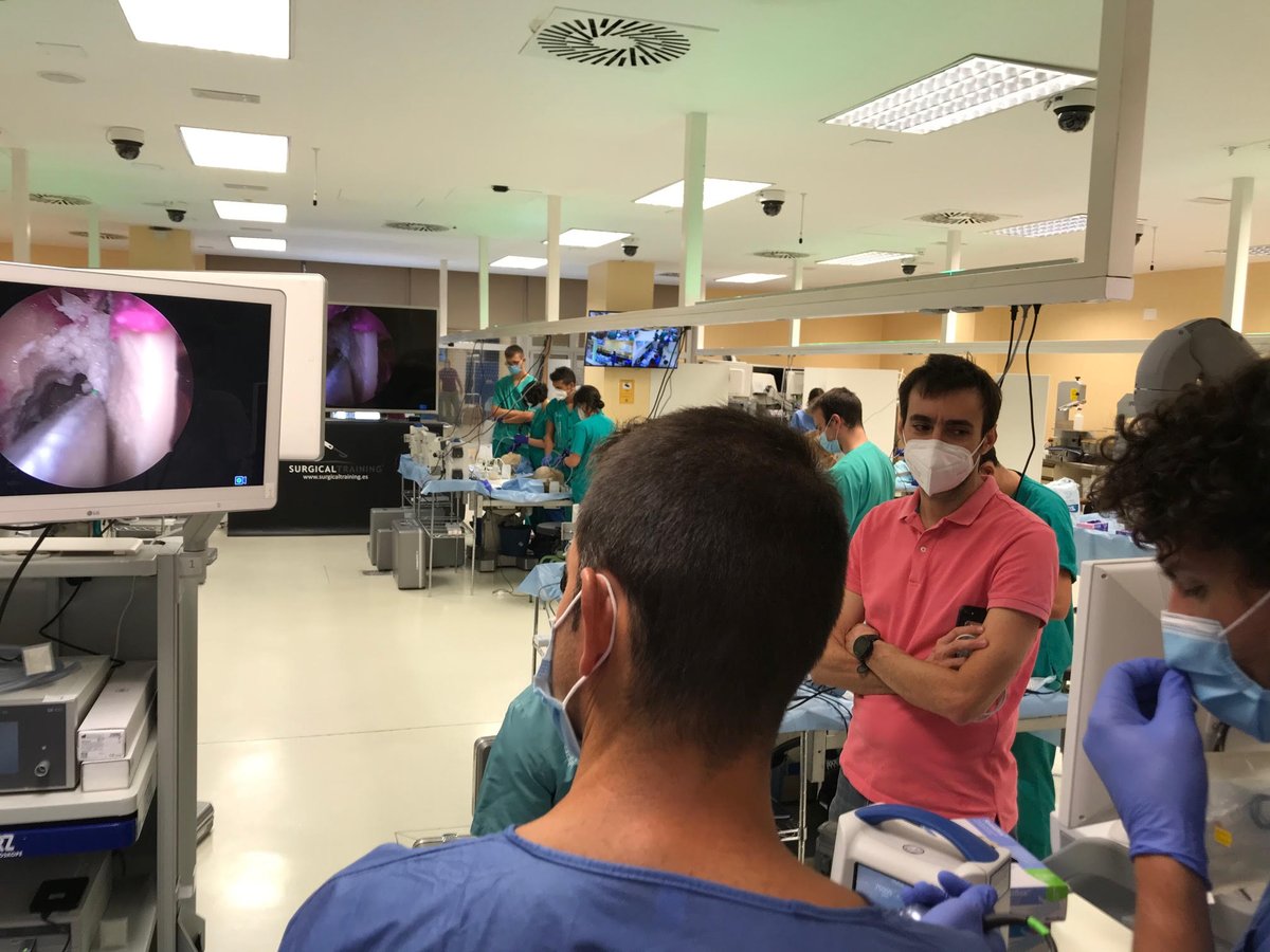 Gracias a <a href="/UniversidadMH/">UMH</a> , Geyseco.es y #Fenin. A los colaboradores @MedtronicES  <a href="/storzmedical_es/">STORZ MEDICAL</a> #PRIM.
A los profesores Dres. Javier Abarca, Eugenio Cárdenas, Ariel Kaen y Alberto Di Somma. 
¡Por el éxito del X Hands-On sobre base del Cráneo Endoscópica!