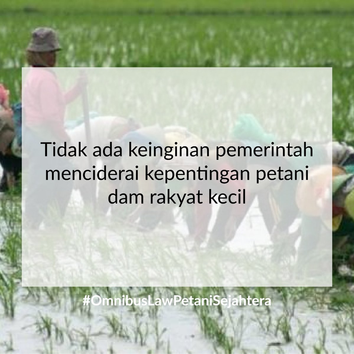AnggaBayuSapu18's tweet photo. Impor pangan tidak akan dilakukan bila merusak kepentingan petani. 
Pemerintah tidak semena-mena akan impor #OmnibusLawPetaniSejahtera https://t.co/dPzvuXJXyW