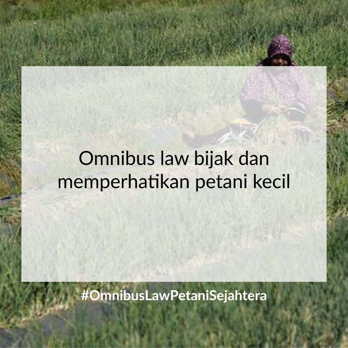 AnggaBayuSapu18's tweet photo. Tidak ada keinginan pemerintah menciderai kepentingan petani dam rakyat kecil #OmnibusLawPetaniSejahtera https://t.co/emdt0IFZV8