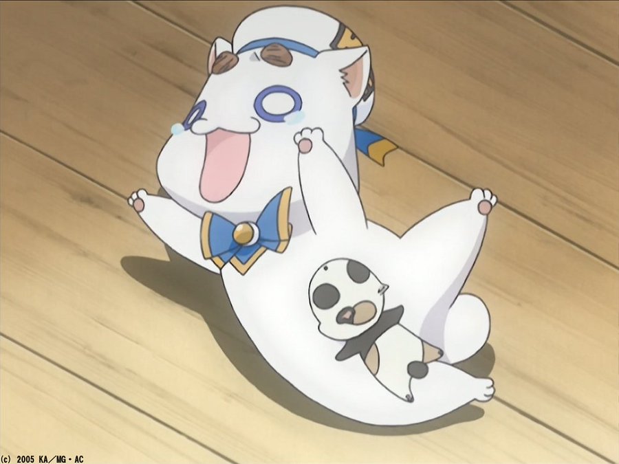 アリア社長 Aria の年齢は何歳 モデルの猫や何を待っていたのかについても ワクワクが止まらない 情報ブログ