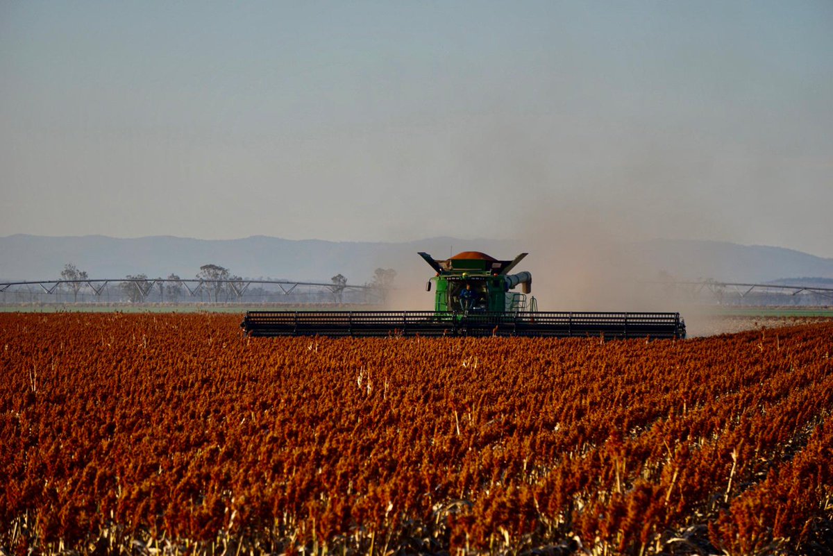 Chasing a young and honest farmhand to join our great team. RT's appreciated.
Thanks in advance. 
facebook.com/job_opening/17…