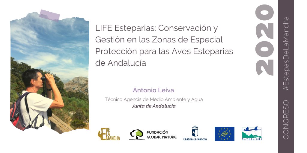 FGlobalNature's tweet photo. Las acciones de divulgación y sensibilización deben pasar por salvar las premisas que se tienen de las zonas de Especial Protección para las Aves #ZEPAS
#EstepasdelaMancha https://t.co/lJidiYxFWj