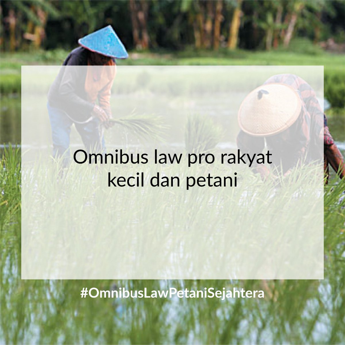 AnggaBayuSapu18's tweet photo. RUU Cipta Kerja menjamin petani sejahtera #OmnibusLawPetaniSejahtera https://t.co/jXBKfM7Mdm