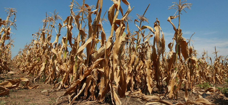 GlennKAFOULA's tweet photo. Le #Réchauffementclimatique & la #covide-19 #impactent l'#agriculture en #Afrique: sécheresse, réduction du rendement et de la #productionagricole,diminution des #ressourcesnaturelles.Forte perturbation d'offre et de la demande des #produitsalimentaires.
@Sida
@mithika_mwenda https://t.co/K2C3Z0JKf9
