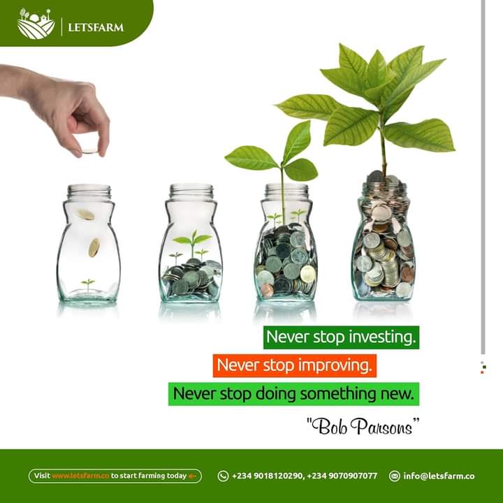 letsfarm_co's tweet photo. Make it your goal to get better each and every day, Daily improvements eventually results in huge advantages.
#letsfarmtogether #empoweringfarmerstogether #changinglives #agricislife #foodsecurity #investinginagriculture
#sustainability https://t.co/O45gdPYzu5