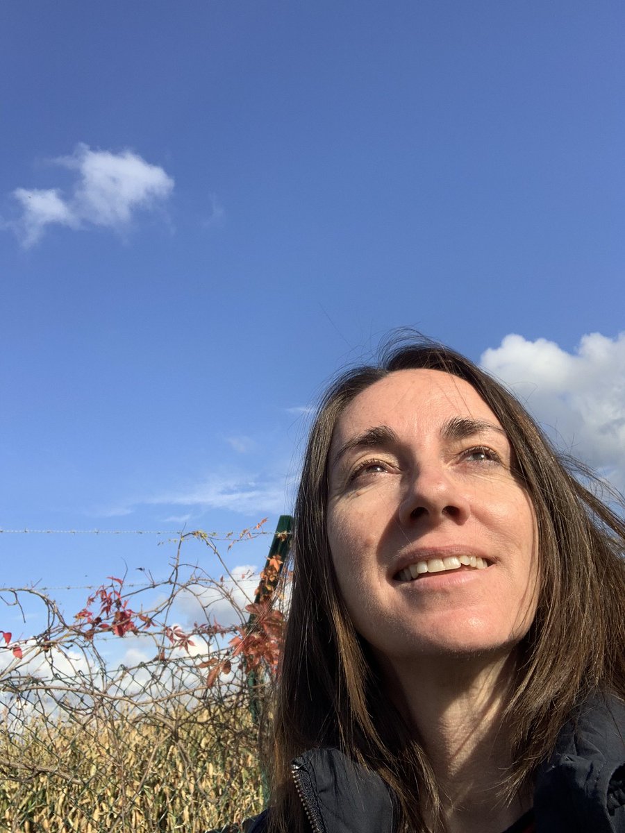 stepupformarie's tweet image. Out stepping up for Marie on my lunch break...Day 14...is that the sun I see? ☀️☀️☀️ #donate #fundraising 

gofundme.com/f/step-up-for-…