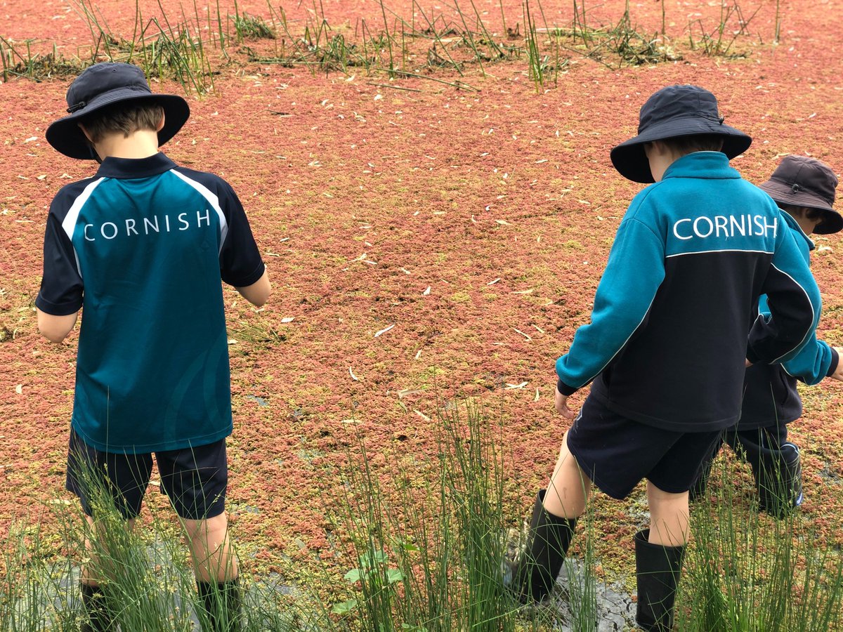 Samantha Millar tweet media