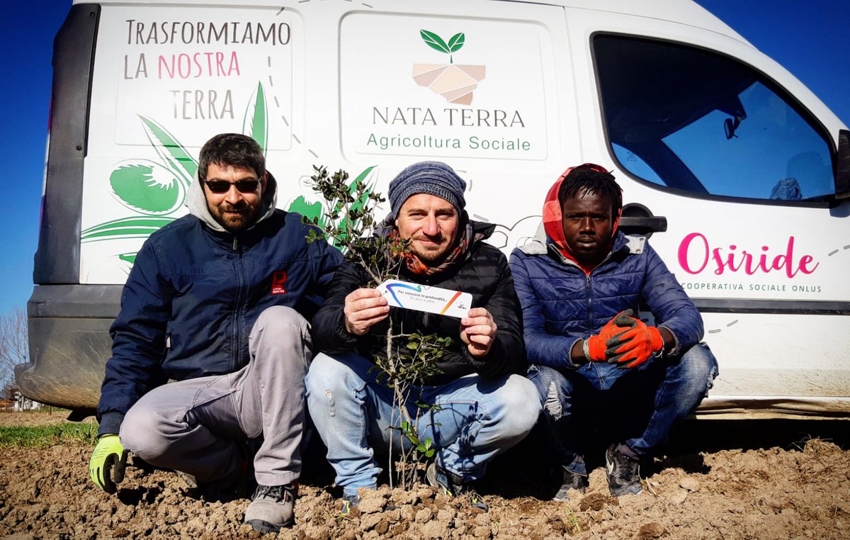 Caserta, si inaugura il frantoio Nata Terra sui terreni confiscati alla camorra <a href="/Confcooperativ1/">Confcooperative</a> <a href="/ConfCampania/">Confcooperative Campania</a>  <a href="/FedSolidarieta/">Federsolidarietà IT</a> 
italiacooperativa.it/TERRITORIO/cas…