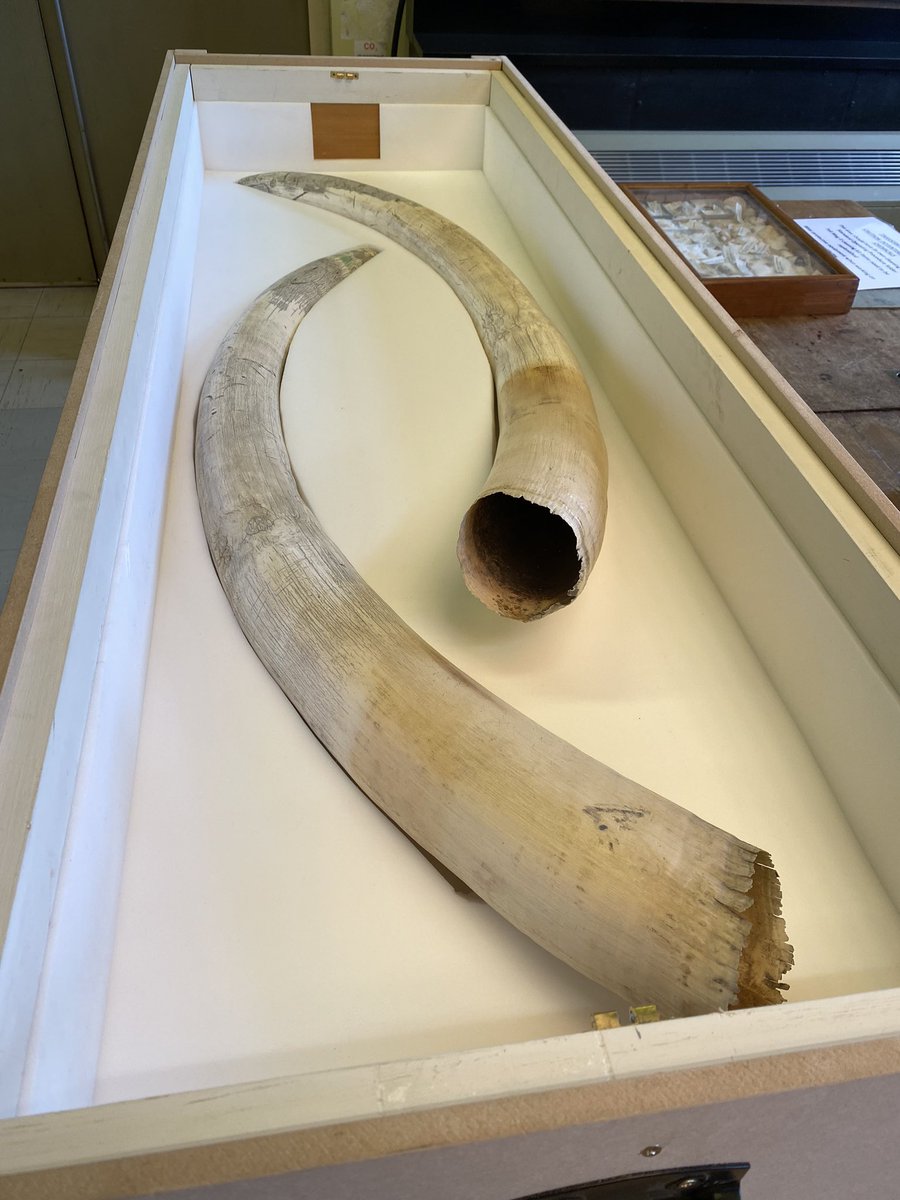 ColeZoology photo
