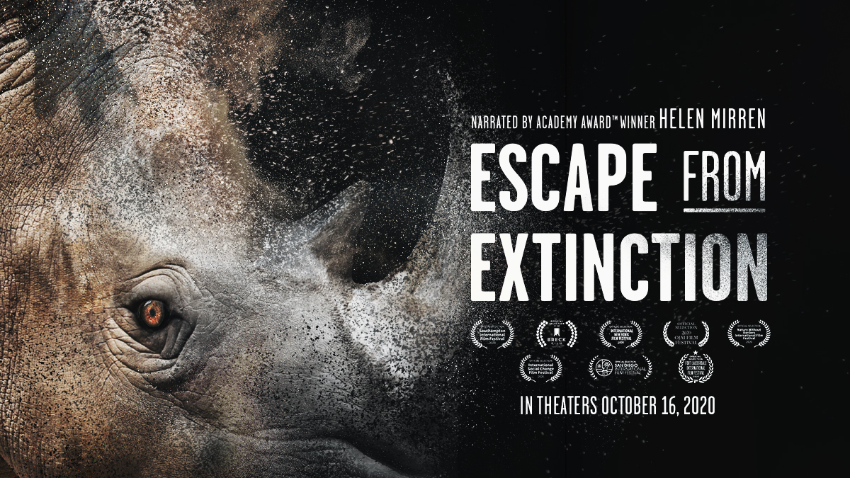 The dodo. Steller’s sea cow. The great auk. The broad-faced potoroo, the Falkland Islands wolf and the laughing owl. These are just a few of the incredible species that no longer exist. #EscapeFromExtinction opens in theaters across the country on Friday, Oct. 16!