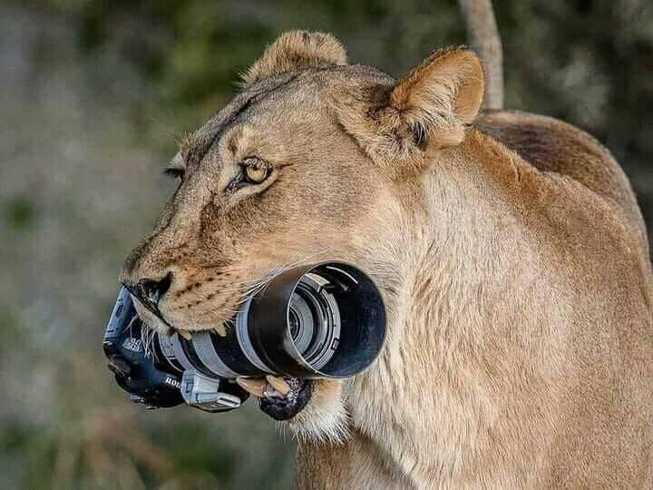 affablet's tweet photo. #ThisIsMyKenya https://t.co/b2HeiGzqUY