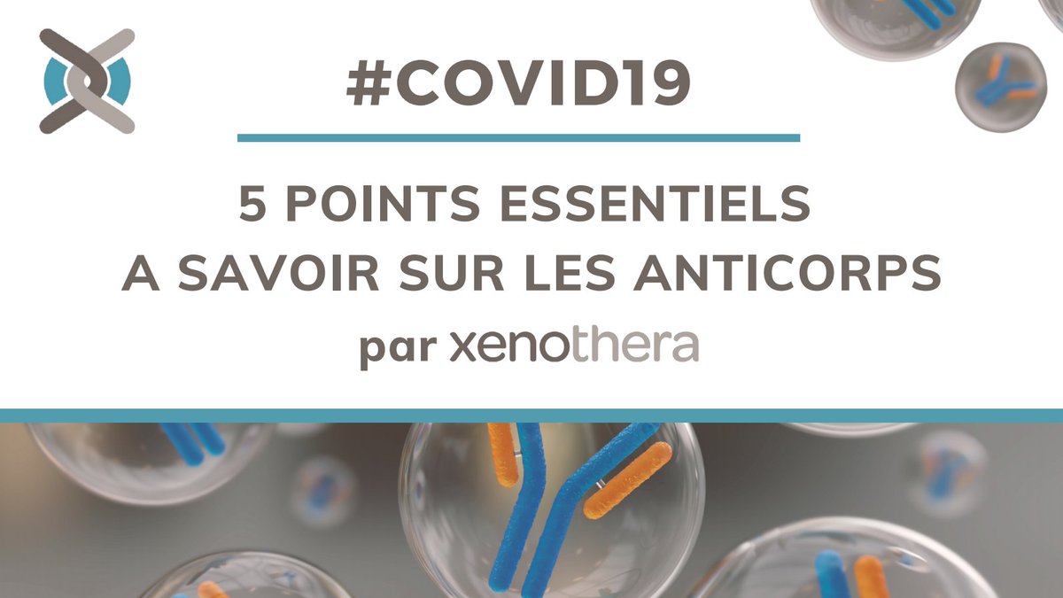 #INFOGRAPHIE : anticorps monoclonaux, anticorps polyclonaux… De quoi parle-t-on ? 🔬 
Notre réponse en 5 points #COVID19 #anticorps #antibodies #immunologie xenothera.com/wp-content/upl…