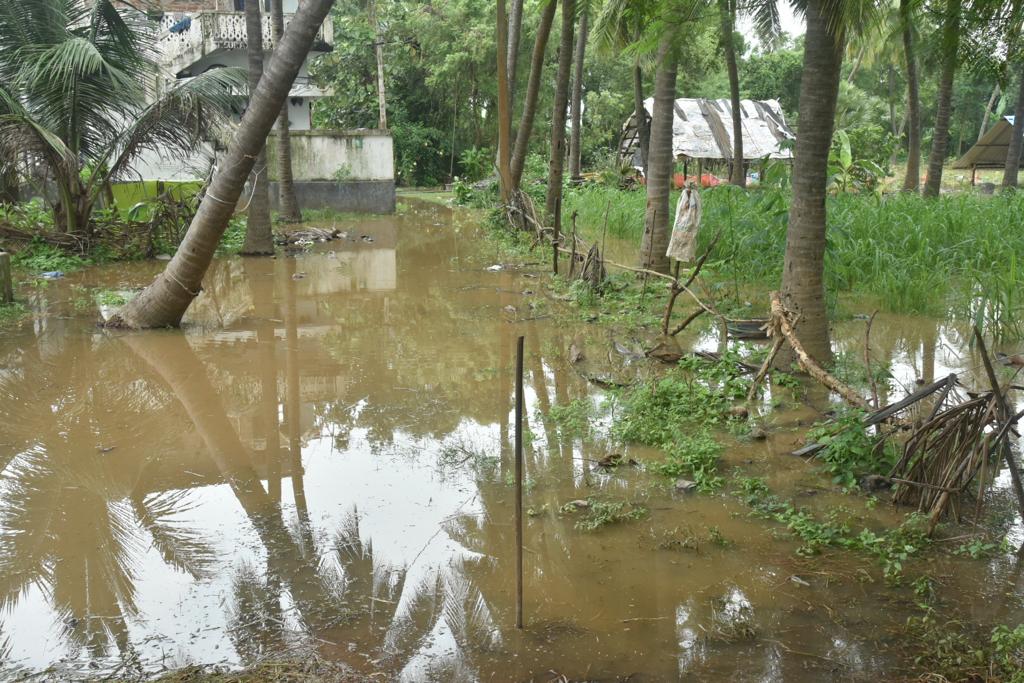 iandprvisakhap1's tweet photo. వరదలలోనష్టపోయినప్రతిరైతును ప్రభుత్వం ఆదుకుంటుందని రాష్ట్ర పర్యాటకశాఖమంత్రిముత్తంశెట్టి శ్రీనివాసరావు తెలిపారు.బుధవారంముంపునకుగురయిన రాంబిల్లి మండలం,రజాల,అగ్రహారం,వెల్చూరు,మర్రిపాలెం, కట్టు బోలు,పెద కలవలపల్లి గ్రామాలు,
యలమంచిలిమండలంలో కట్టుపాలెం, 
తెరువుపాలెం గ్రామాలనుసందర్శించారు https://t.co/TebDB5LAUl