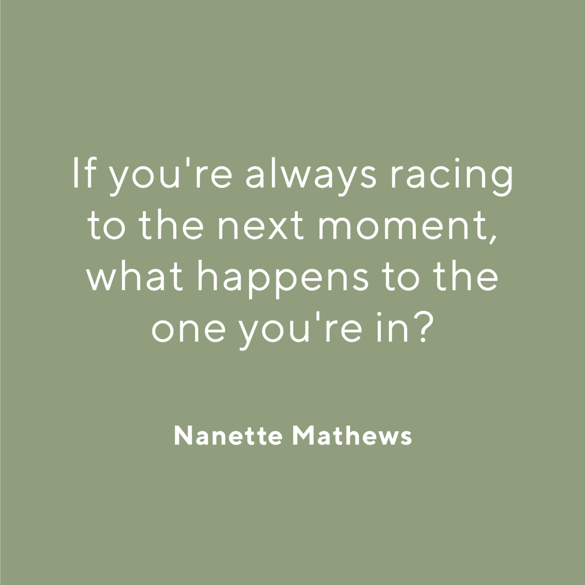 Wild & Wolf tweet media