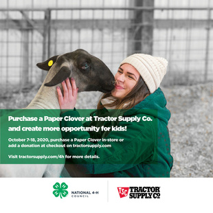 ohio4h's tweet photo. Be sure to stop by your @TractorSupply store today or shop online and while you're there...buy a paper clover to support Ohio 4-H camping and leadership programs! #4HGrows #TrueLeaders https://t.co/JhNNX3BJru