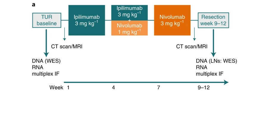 Alberto Gil Jimenez tweet media
