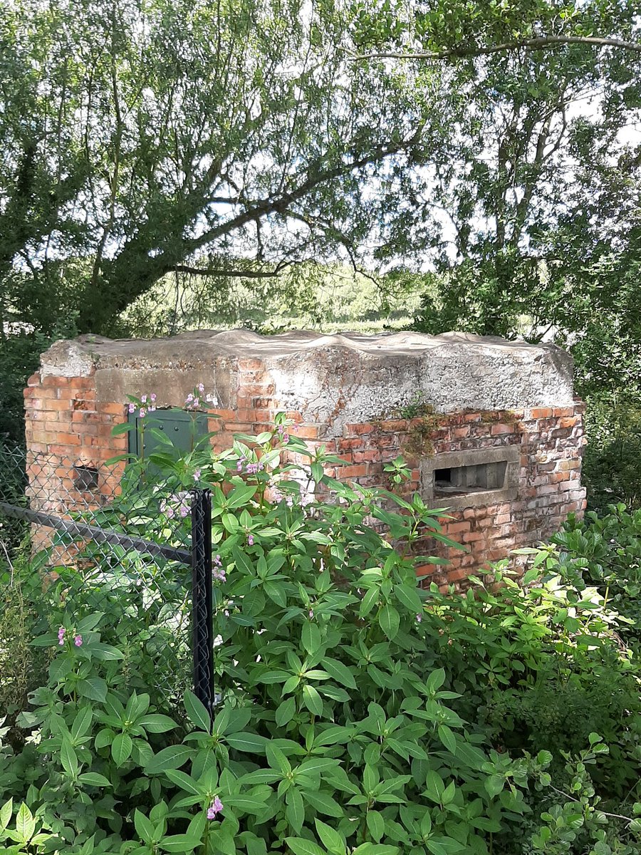 Clare Andrews tweet media