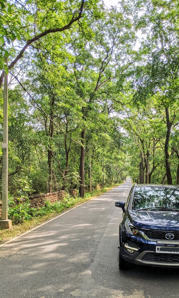 NeilDSilva8's tweet photo. @TataMotors_Cars The Beast posing for a snap near Bhimgad Wildlife Sanctuary. #bringbackhexa!! https://t.co/3BOjutVjGu