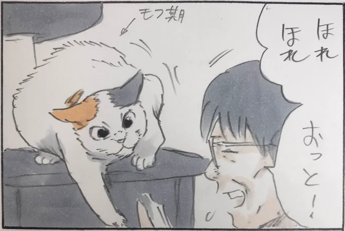 『猫の加減』 