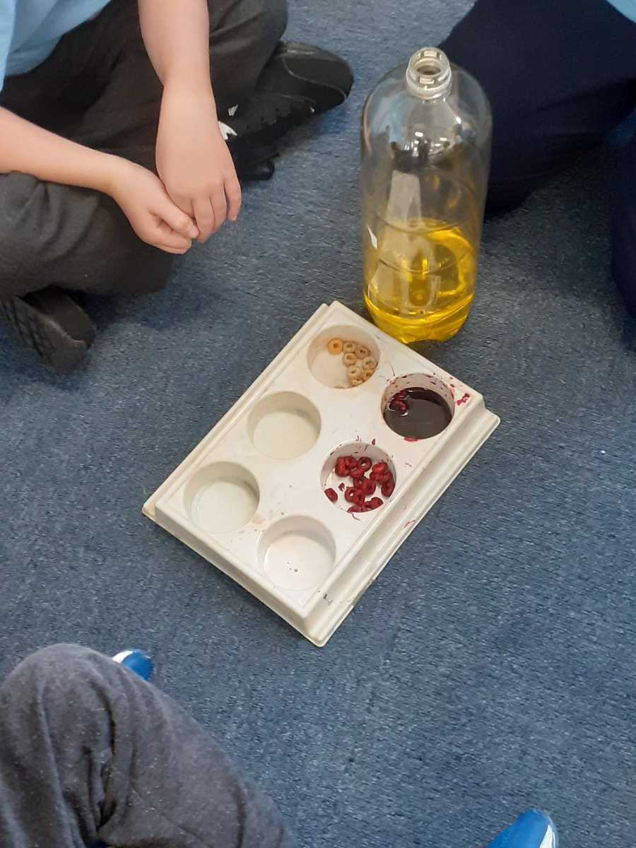 We are making a model of our blood. We have plasma and are turning our cheerios red to represent the red blood cells.