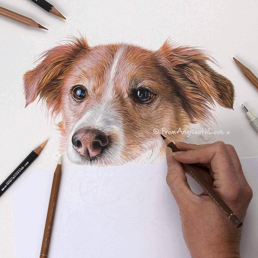 Today I'm working on lovely Meg, she's the house mate of Jess the Labrador who I've just drawn.  Meg is an eight year old mongrel, she was adopted as a puppy from dogs trust. She has the happiest face, which I'll reveal hopefully tomorrow.  
#dog #art #painting #drawing #pet