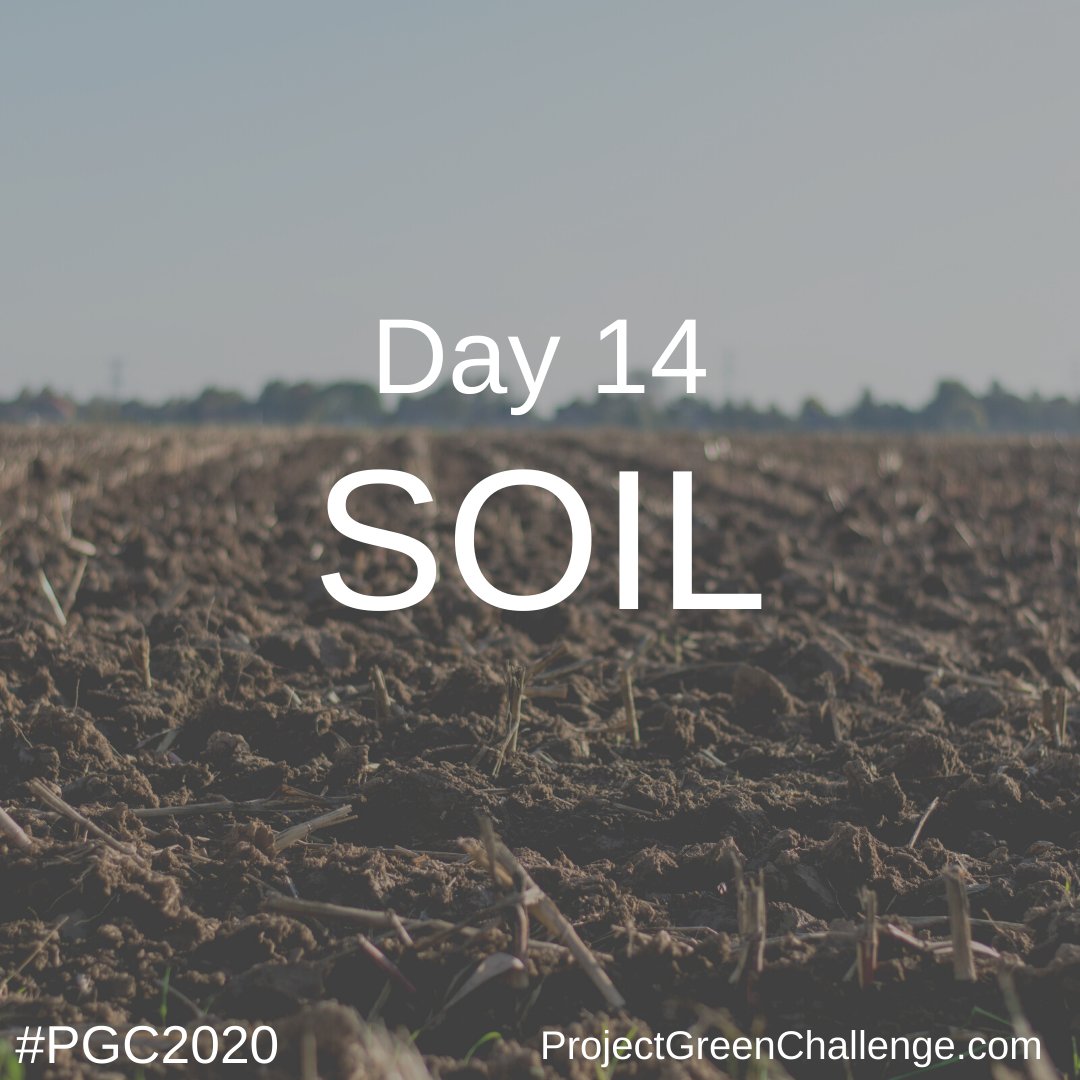 TurningGreenOrg's tweet image. Welcome to Day 14 of #ProjectGreenChallenge! Today we&apos;re exploring SOIL as a solution to the climate crisis with @PatagoniaProv @KissTheGroundCA @OrganicCenter! While soil may not be the first environmental solution you think of, it&apos;s absolutely key! Let&apos;s *dig in* with #PGC2020!