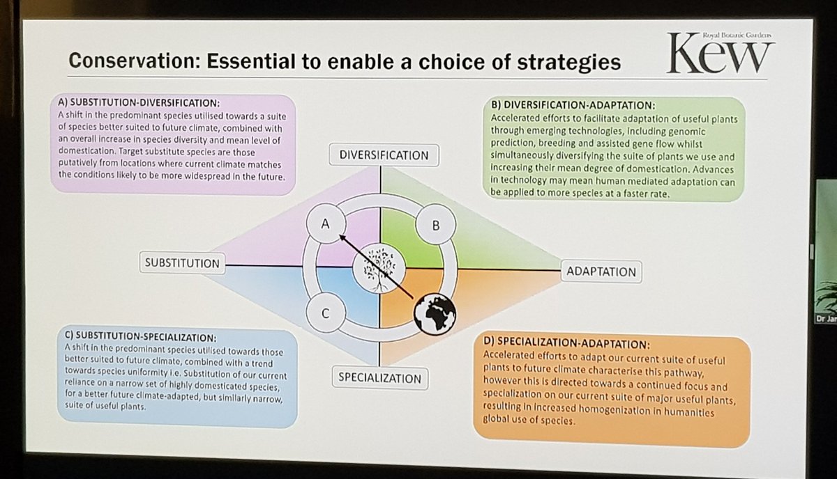 CharlotteCouch1's tweet image. What should the 21 century useful plant look like and what are the strategies to get there? Great talk from @James_Borrell @KewScience #SOTWPF