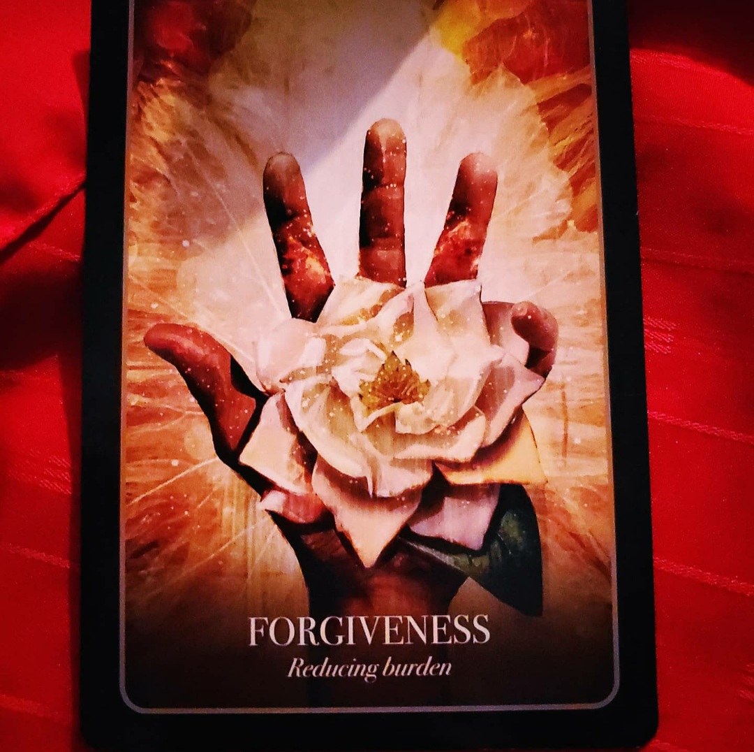 ember_casting's tweet image. Today&apos;s message: Forgiveness

Purge negative energy in your life by forgiving it in all its forms. Take the time to recognize people and areas of your life that need to be forgiven - including yourself.

The Halloween Oracle by Stacey Demarco
#dailycardpull #thehalloweenoracle