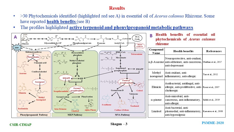Psmme2's tweet photo. #psmmeposter Poster-6
Comprehensive metabolome analysis of Acorus calamus essential oil and its associated phytochemical pathways
Maneesh Lingwan, KVK Linga Rao, Shagun Shagun, Shyam K. Masakapalli
Indian Institute of Technology Mandi, https://t.co/7qNSObKAGA