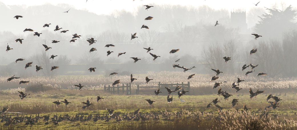 Walking in Autumn in #NorthNorfolk is a delight with stunning colours, huge skies and fabulous scenery. Here's our top five favourite walks at this time of year bit.ly/2GPCOnP #UnexploredNorthNorfolk #UnexploredEngland #escapetheeveryday