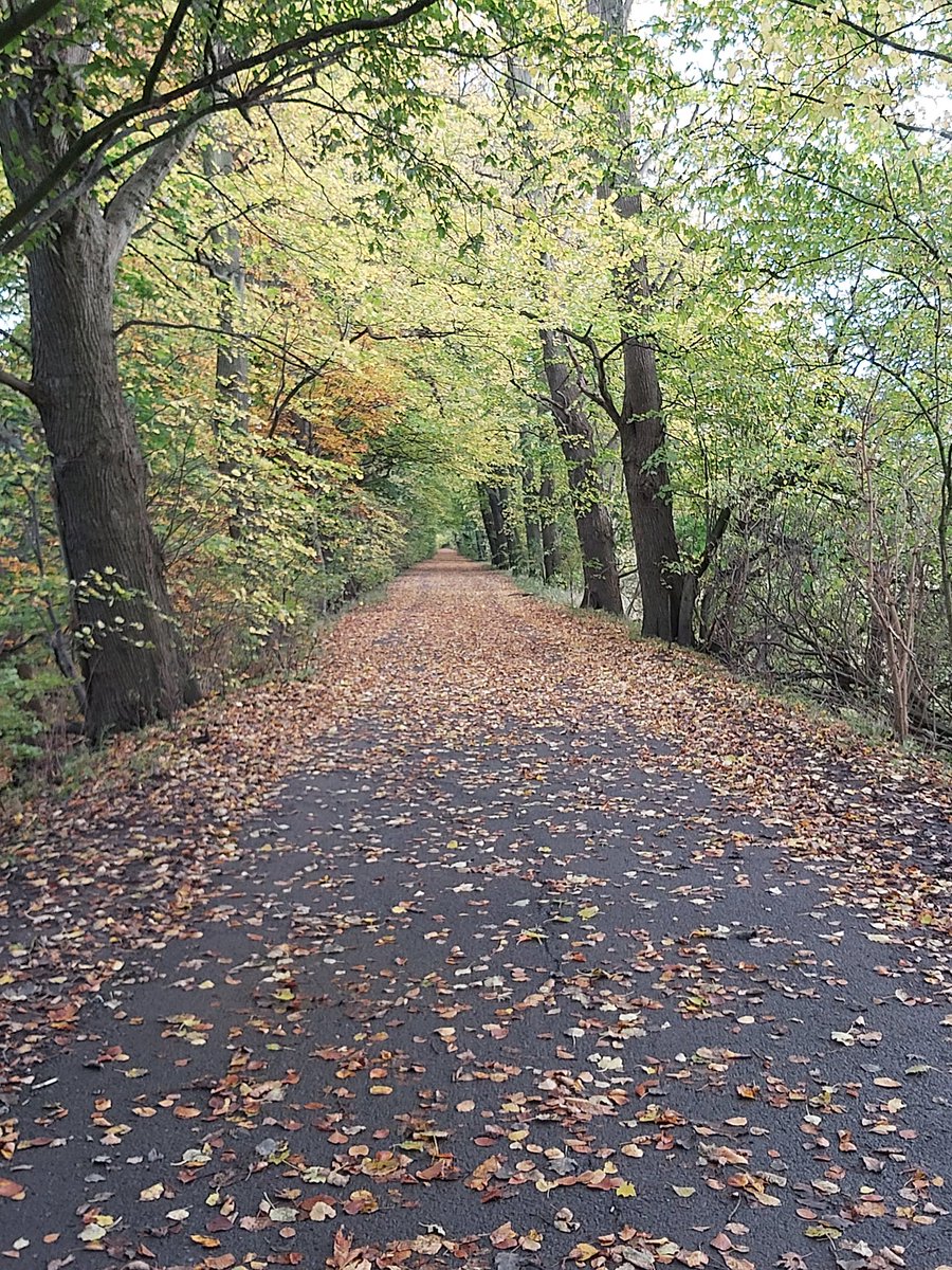 AnneFreeman4's tweet image. Out for a walk. Good to clear the head whilst listening to ⫩. Go on give me a follow back to make my day 🤞 @GaryBarlow @HowardDonald @OfficialMarkO