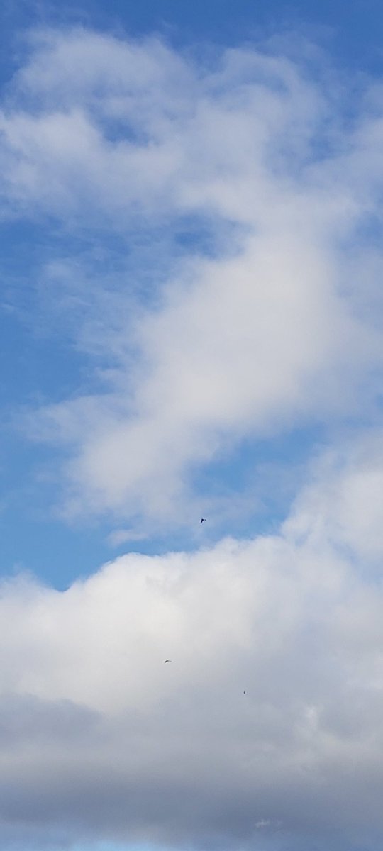 Bowes LTN
WE are currently working through a large volume of emails regarding the scheme and are responding to all emails.
As you will be aware, the CCTV is now up and running and ambulance are able to pass through.