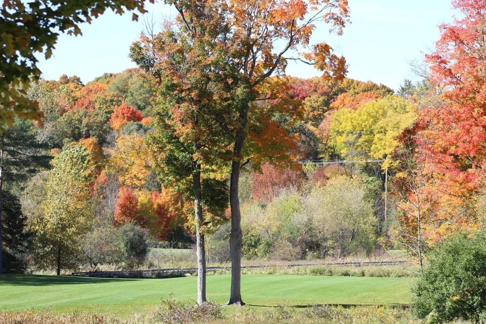 CollegeFieldsGC's tweet photo. Fall days at College Fields https://t.co/qHIKj8Rmsx