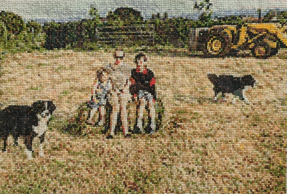 More 90s Haybaling

#crossstiching #crossstitch #crossstitcher #sewingprojects #sewing #sewingproject #northsomerset #northsomersetlife #bordercollie #sheepdogs