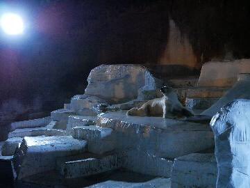 通天閣 Tsutenkaku Tower 公式 天王寺動物園 で開催する秋の ナイトzoo に併せて 通天閣 の営業時間を延長します 期間 年10月17日 土 18日 日 24日 土 25日 日 営業時間 10 00 30 最終入場 00 天王寺動物園ナイトzooお 通天閣 Tsutenkaku Tower 公式 天王寺動物園 で開催する秋の ナイトzoo に併せて 通天閣 の営業時間を延長します 期間 年10月17日 土 18日 日 24日 土 25日 日 営業時間 10 00 30 最終入場 00 天王寺動物園ナイトzooお