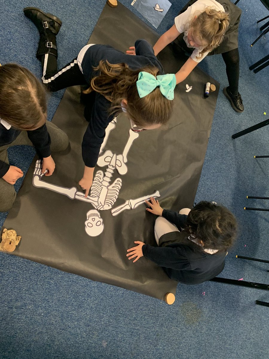 MrsHogg09's tweet photo. P3 @MsLaingCVP showing excellent teamwork and problem solving skills as they learned about the position and the names of the bones found in the Skeleton. 💀💀💀 https://t.co/1nZADz23ND