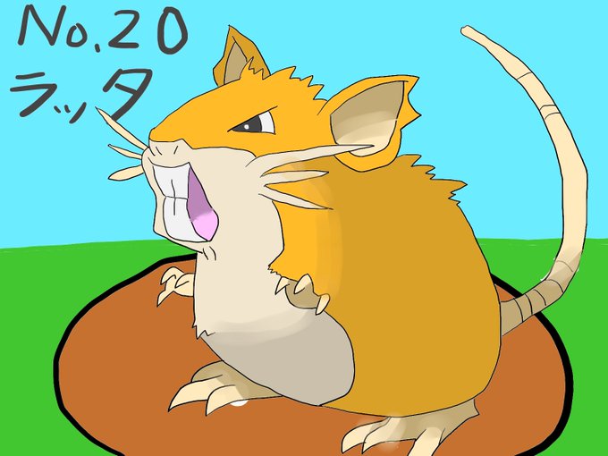 ラッタのtwitterイラスト検索結果 ラッタのtwitterイラスト検索結果