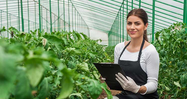 FoodProfessor's tweet photo. How do Canadians feel about off-season fresh produce grown locally in #greenhouses versus imported alternatives?
Our next food report on food autonomy, October 22. https://t.co/7M1mRjmqFI