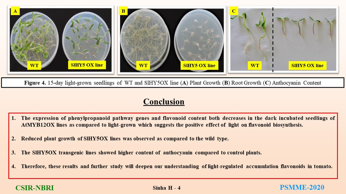Psmme2's tweet photo. #PSMMEposter Poster -25
Functional characterization of light associated regulatory factors involved in flavonoid biosynthesis from tomato (Solanum lycopersicum)
Hiteshwari Sinha, Deeksha Singh & Prabodh Kumar Trivedi
CSIR-NBRI, CSIR-CIMAP Lucknow https://t.co/Drpzn992Tw