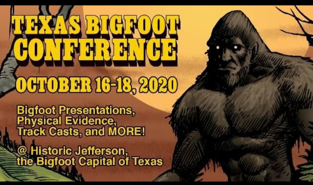 SquatchDogs's tweet image. Come see us this Saturday for a Sasquatch Session!