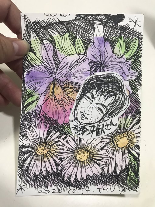 ユウゼンギクのtwitterイラスト検索結果