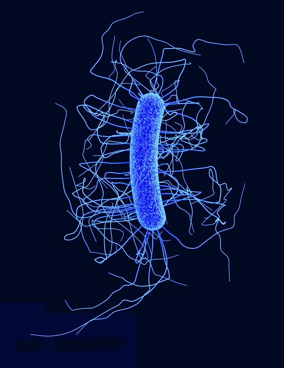 Maybe weird and frightening is the vibe that you’re going for, after all. Want to give everyone a real scare? Dress like the hospital-acquired, antibiotic-resistant Clostridium difficile!