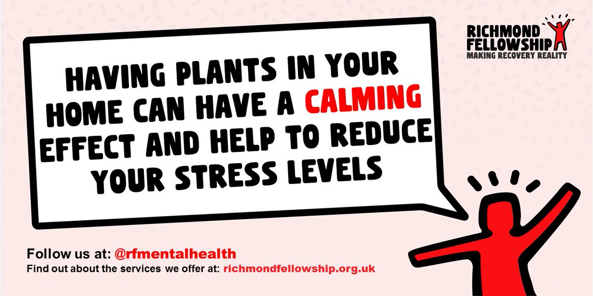 Sparky has a speech bubble which reads, "Having plants in your home can have a calming effect and help to reduce your stress levels"