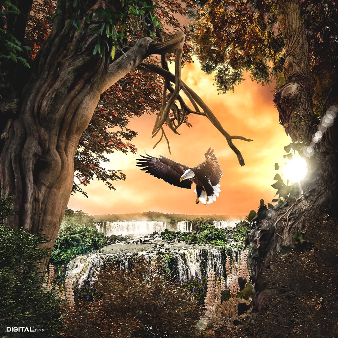 DigitalTiff's tweet photo. Mirrored Eagle Adventures 🦅
#photomanipulation #graphicartist #editvisuals #photoshopped #coverart #albumart https://t.co/7RA4PXTJok