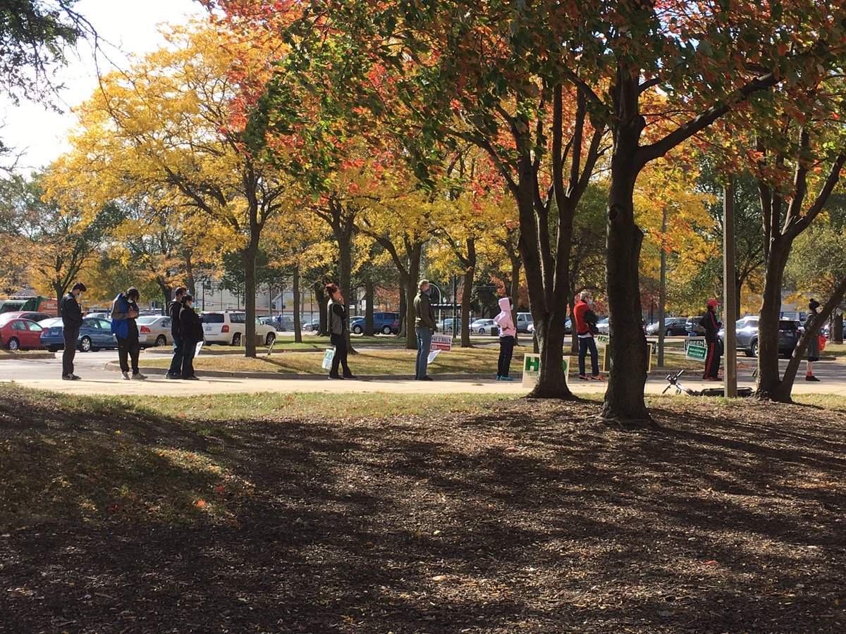Photo of park with trees and grass and voters socially distanced as they wait in line