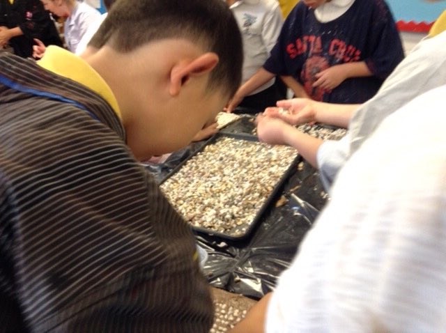 TitheBarnPri's tweet photo. Year 4 had a fantastic day working with @TimeTrips2 learning about the past and created some amazing mosaics. https://t.co/XZbHl1p0qG