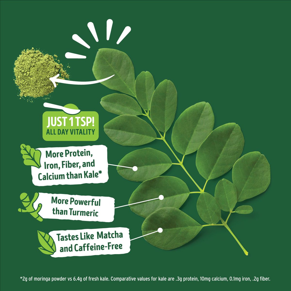 A small leaf with powerful possibilities 💪 🌿 #moringa #moringabenefits