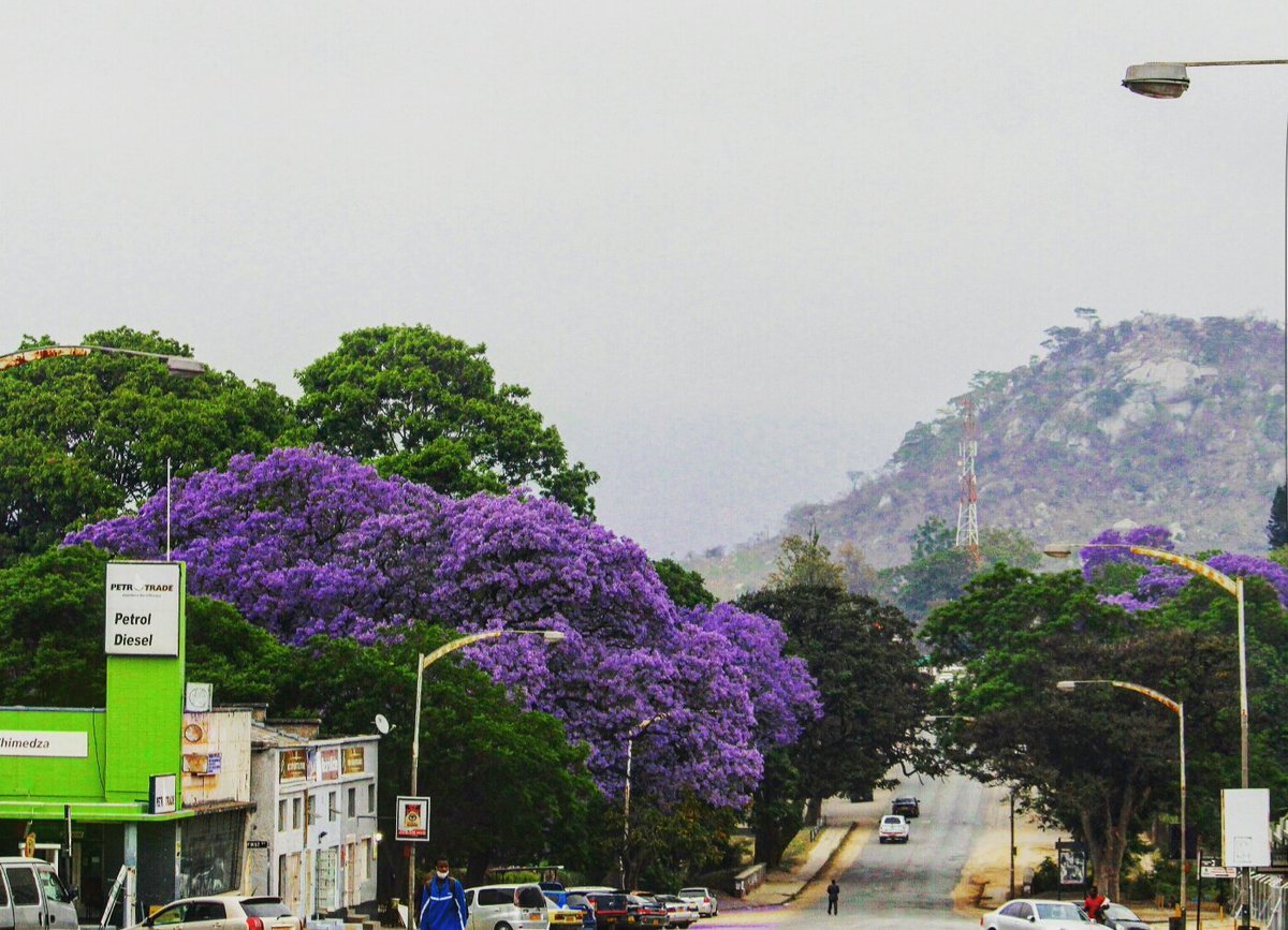 T•I•R•I•V•A•N•H•U tweet media