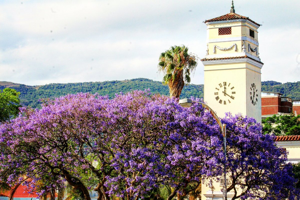 T•I•R•I•V•A•N•H•U tweet media